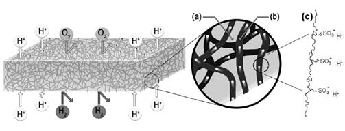 Electrospun Nanofiber Electrodes and Membranes for Energy Conversion ...