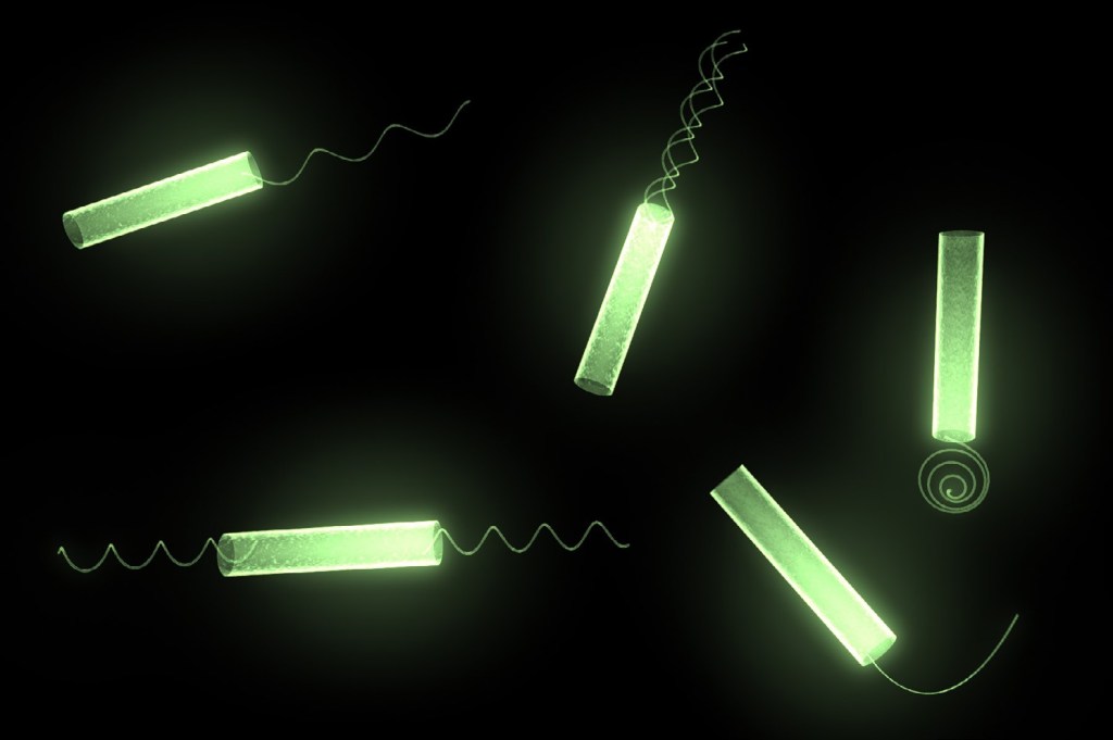 Figure 2. Bacteria inspired micro-robots are composed of a tubular body and various types of flagella.