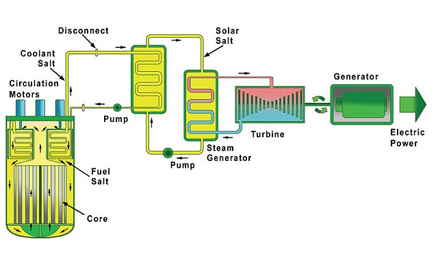 Diagram of a Molten Salt Reactor.