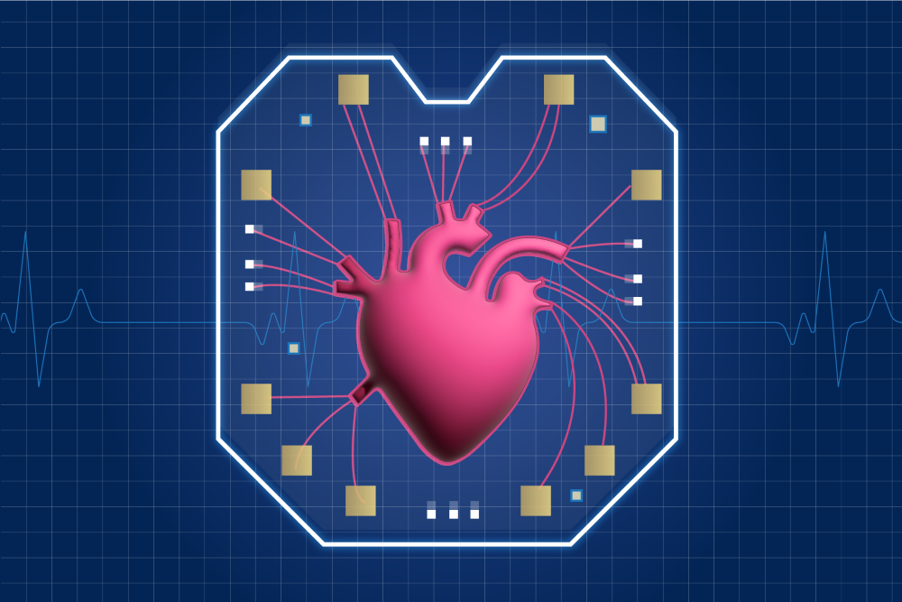 Anatomical Heart image on a blue grid background