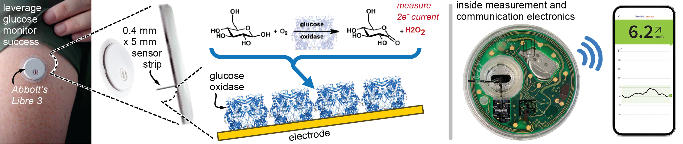 Figure 3. Example Success in Molecular Monitoring With a Specific Example of Abbott’s Libre 3 Glucose Monitoring System (Source: J. Heikenfeld).