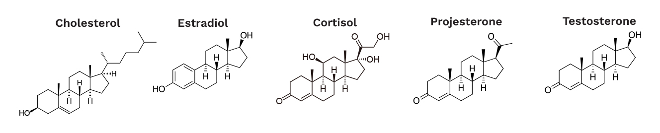 Figure 4. Steroid Hormones Circulating in the Body (Source: J. Heikenfeld).