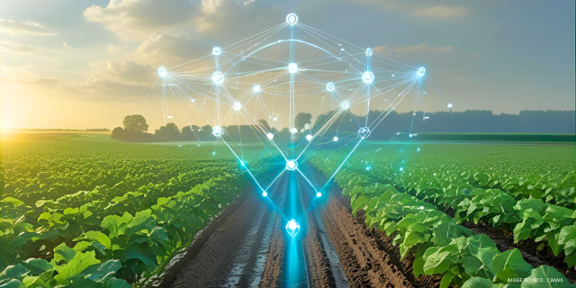 image of a produce farm with cyber network connections on top of it