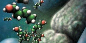 Butanol molecules trigger changes in a microbial cell membrane model in this illustration of research that used neutron scattering and supercomputing to understand fundamental processes for the efficient production of domestic fuels, chemicals and materials from plant biomass. Credit: Morgan Manning/ORNL, U.S. Dept. of Energy