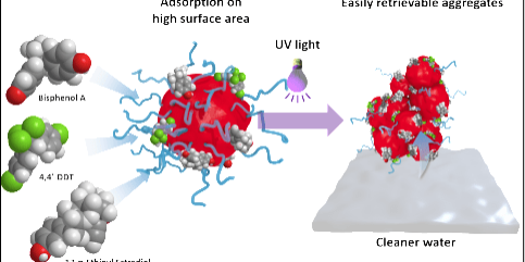 Easily Retrievable, Biodegradable Nanoparticles for Environmental Cleanup