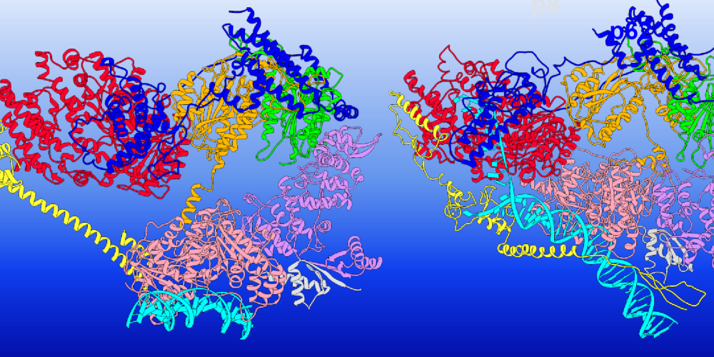 Source: Chunli Yan, Georgia State University, https://www.ornl.gov/news/georgia-state-researchers-use-ornl-supercomputer-gain-new-insights-dna-repair