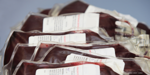 blood bags